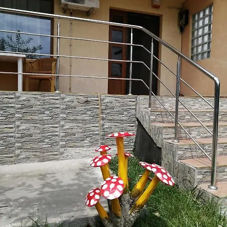 Vila Vali Năvodari